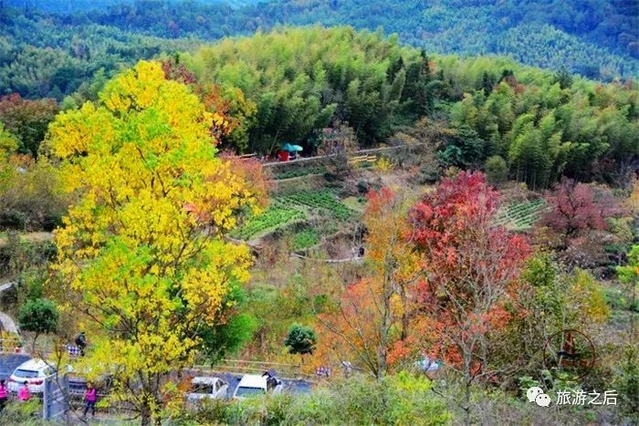 皖南的塔川,秋天的骄傲,极美的色彩天堂