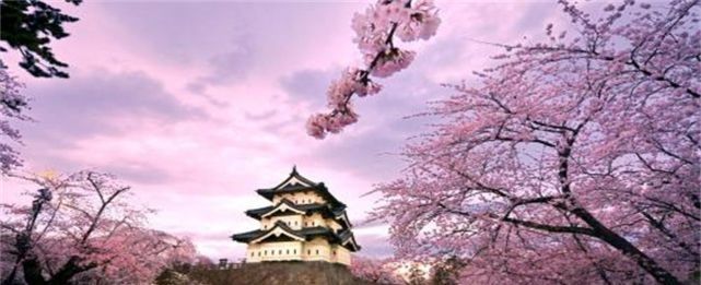 在日本旅游这些纪念品即使再精致，为何中国游客也不买