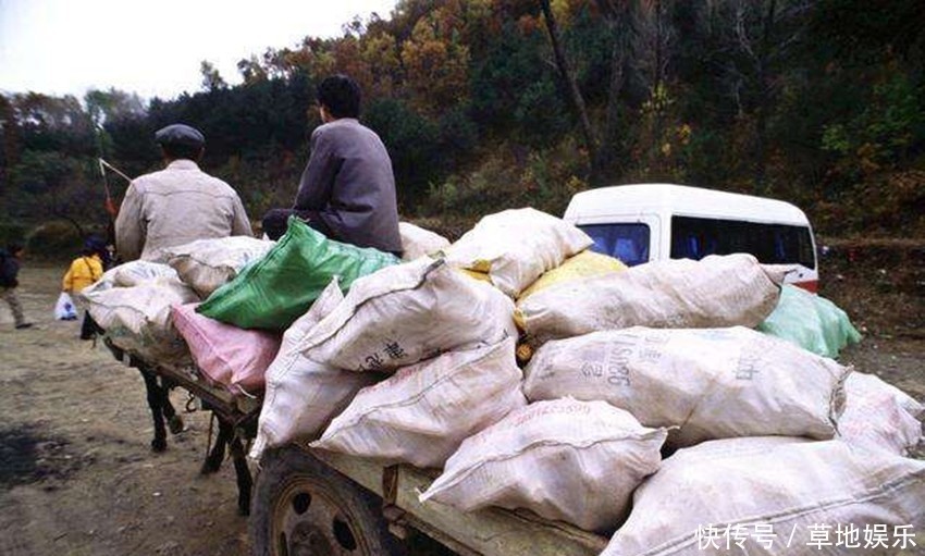  「养老金」老农交了公粮，却不能同城里人一样享有养老金，专家