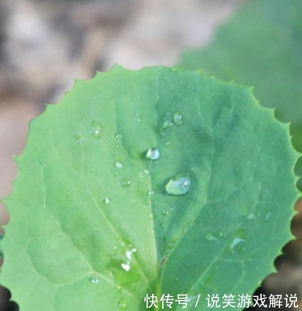  冷空气：提醒！冷空气马上到山东！降雨+降温要来了！白露节气要