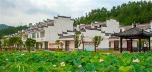  盖房■农村进行新农村建设，统一盖房，搬离老宅基地，你愿意去