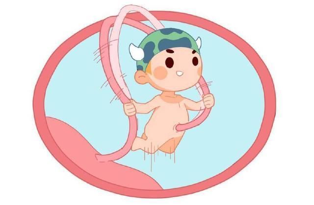 原来娱乐明星是有潜规则的，怀孕必须满3个月或以上才能公布