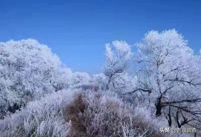 雪后，梨树偏脸古城披上雪白的面纱，宛若仙境……