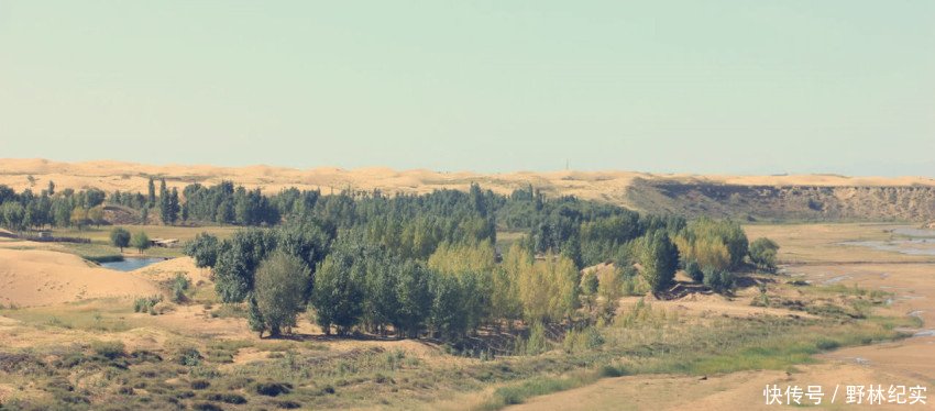 从良田变成荒漠，再从荒漠变成绿洲，这其中到底经历了什么