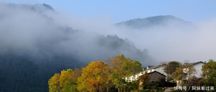 明年中国人就有自己的国家公园啦！浙江一景点有望上榜首批名单