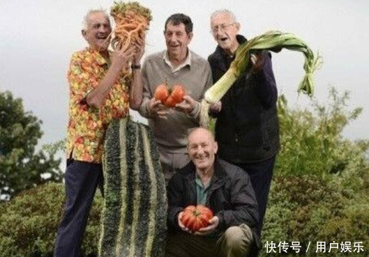 一农民频频种出巨型蔬菜,拿三套别墅,他们都不肯透露其中的秘密！