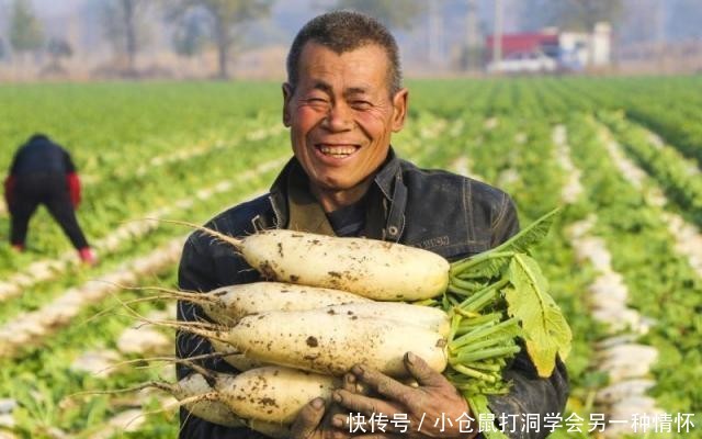  #给出#怎样把农民留在农村？国家给出答案，“三留”措施，可行