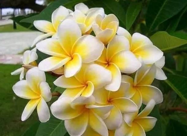  对方■玄占堂：这几个月份出生的人，往往很长情，爱上了一个人不会轻易放弃