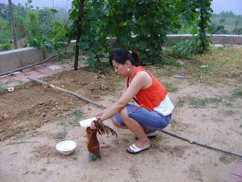  不少：打工有点吃力的农民，这4条道没准是“捷径”，走通一个都