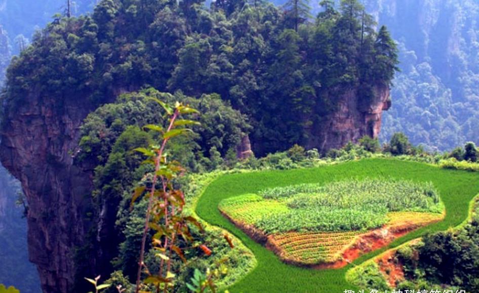 祖辈们在山峰顶部开垦“史上最牛的一块耕地”,吸引无数游人