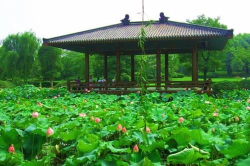 国内位置最佳省会，超过西安，未来有望崛起比肩广州！