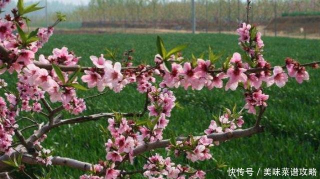 山东人要发财了！济宁泰安等县市将迎来新高速，经过你的家乡吗