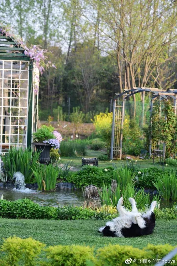 40岁高薪夫妇提前退休，造3000㎡花园惬意养老，还有酒坊！