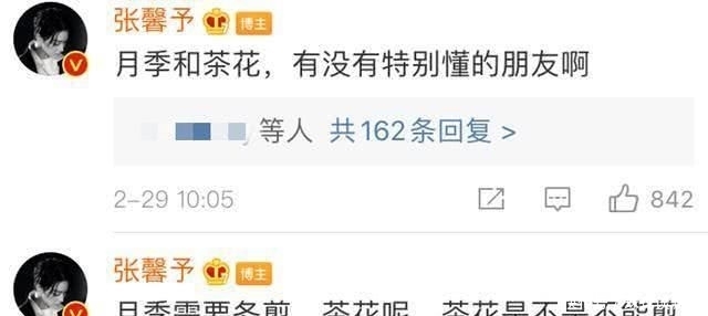  [何捷]张馨予不做饭改种花了, 老公何捷帮不上忙, 只好线上求助网友
