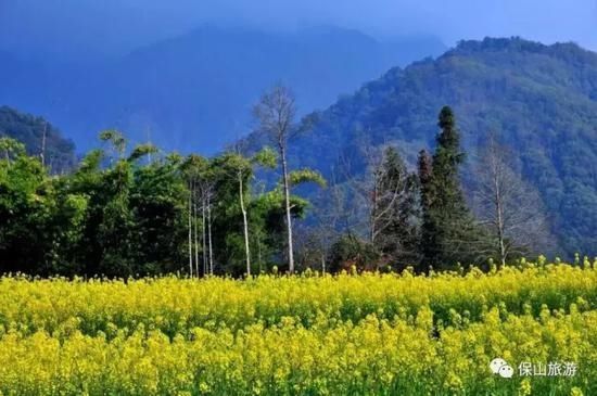 花开了草绿了水柔了,是因为春天来了【2020热门旅游景点】