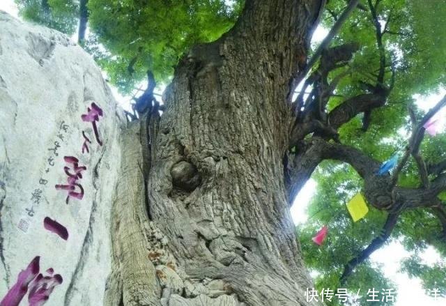 原来涉县的古村落这么美，五一劳动节终于有去处了