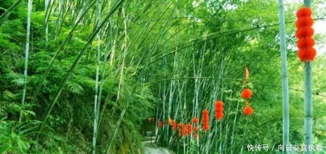  【高速】广西这个县厉害了! 高速公路贯通全县乡镇, 县域经济腾