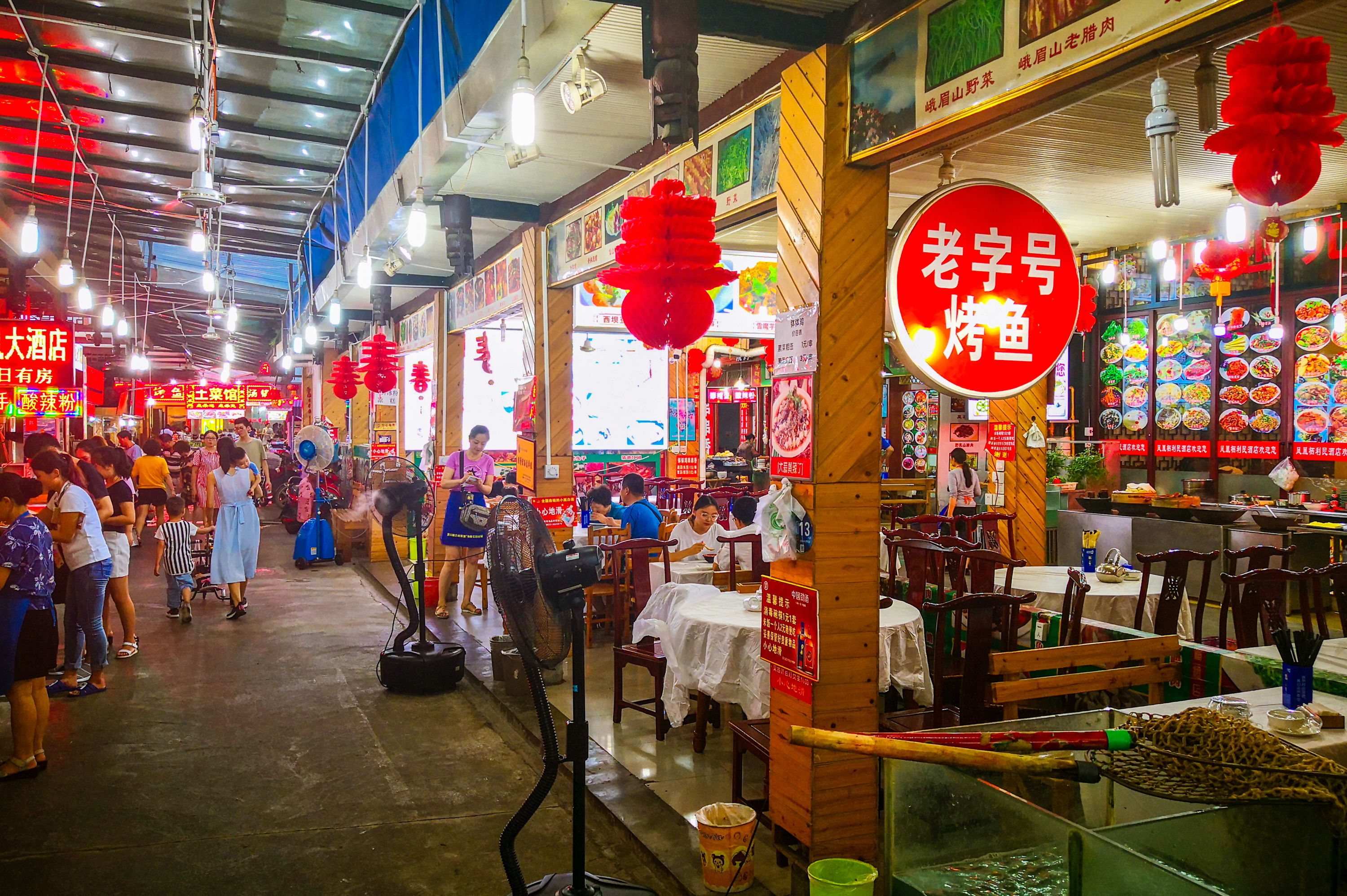 成都出发,周末打卡峨眉山温泉。