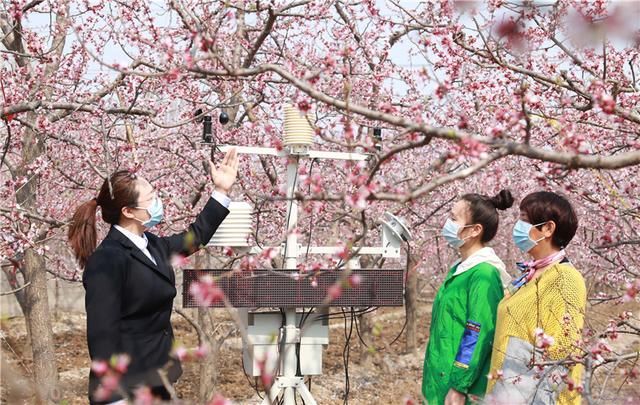  气象：河北武安：气象日里学气象