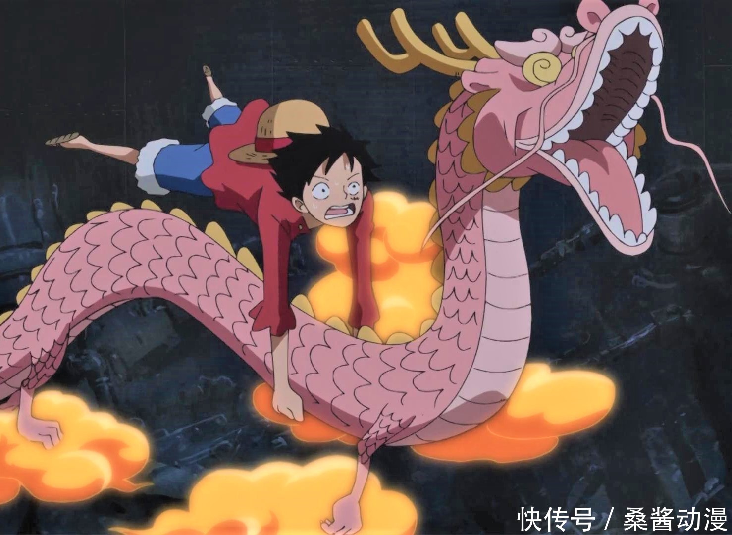 见的6颗幻兽种果实,1颗人人喊打,1颗太恐怖被雪藏