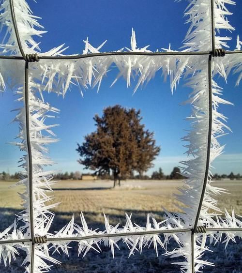 通过19个画面了解从不同角度所看到的世界