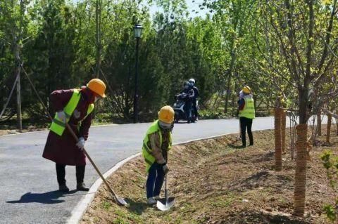  经完工的桃：视点｜北京朝阳9万平米绿化景观工程启动 预计国庆前竣工