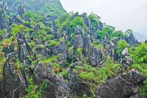 广西最壮观的石林，原生态的风景令人称奇，春节你想去看看吗？