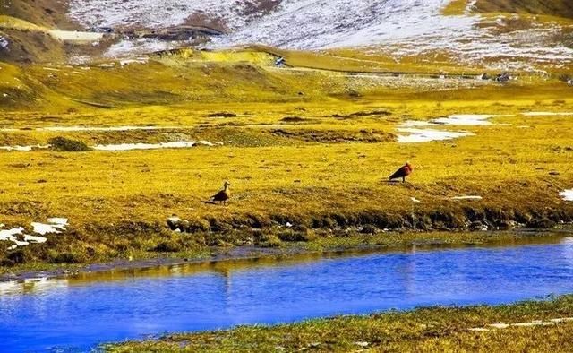 这才是四川最美7大景点，景美人还少，去过5个的都是老司机！