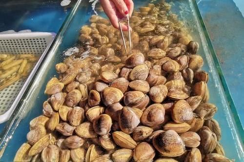 节前东港探海鲜：价格略涨还是便宜，商家说几个节日赚钱平时微利