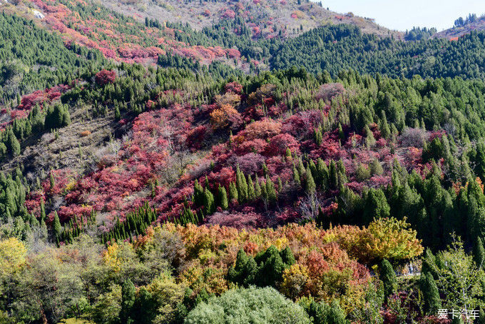 红遍万山的红叶谷【2020热门旅游景点】
