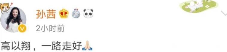 艺人发文高以翔