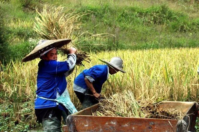 9月，贵州最美的风景竟然在这里，一生要去看一次~