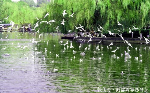 中国有个景区不仅不要门票,停车还免费,却不是想来就能来的