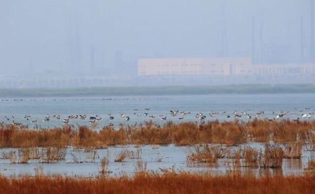  「重启」不能重启的2020，接下来的日子在天津要这样过！