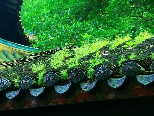 修行人一定要明白！在家自修！世间第一道场！