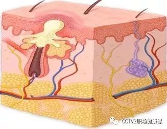 炎炎夏日，教你几招摆脱 “大油脸”！这几个控油雷区千万别踩…