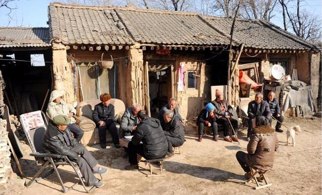  老人@农村老人常说“燕知寒门，狗知新婿”是什么意思，真的是这