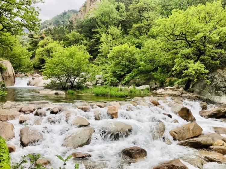  [九水]雨后的九水瀑布飞流直下 九水游览区进入全年最佳观赏期
