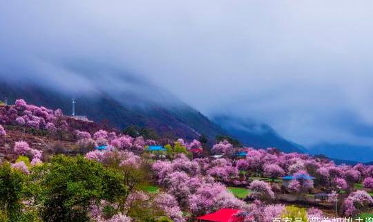 中古最美的春天，了解一下！