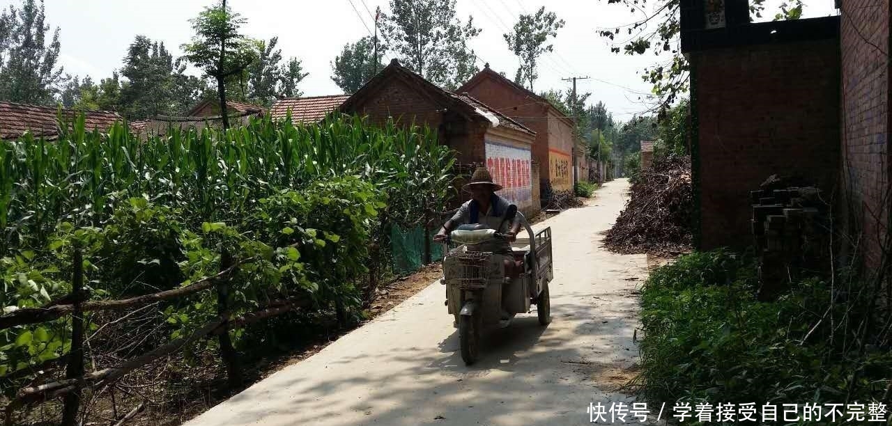  【调整】农村粮补政策有所调整，这4类人不能再领，农民别因小失