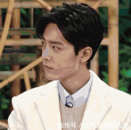 谢娜肖战小品尴尬