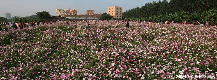 强强联手, 广东省合并最成功的城市