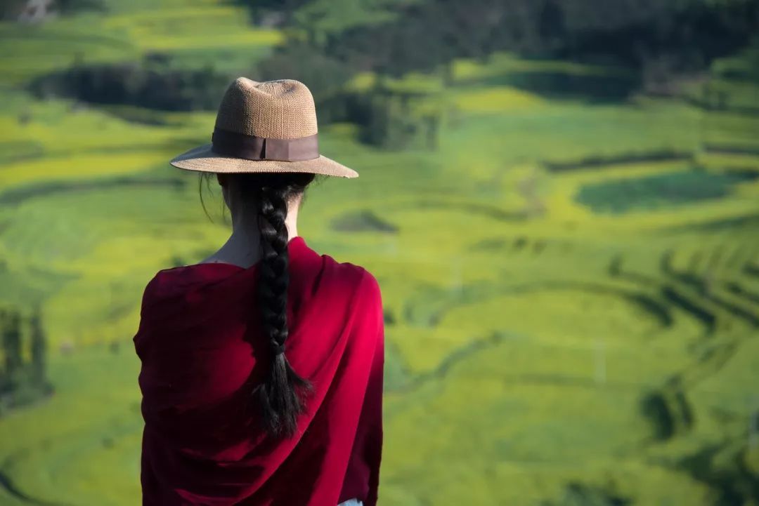 再过20天，中国将花开成海，错过再等一年