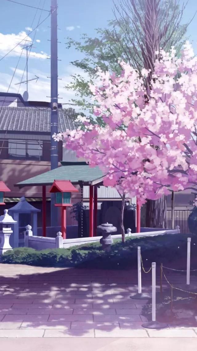 轻微课网校比较好的日系漫画培训机构有哪些?