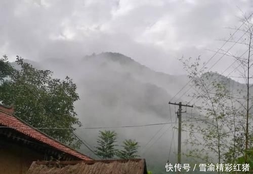 「院子里」想要个这样的小院子,门前屋后种满花,日子慢悠悠!