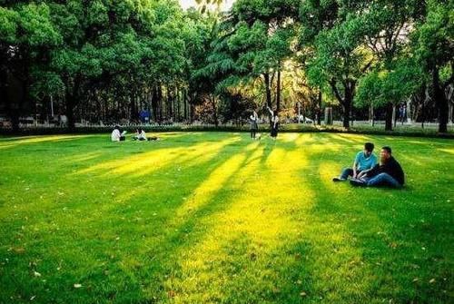 又是一年开学季，盘点中国最美丽的十所大学校园，有你的母校吗