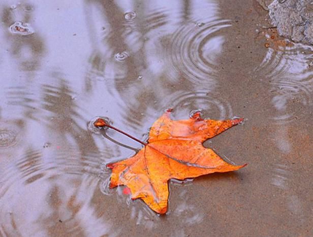  摆脱■下雨天容易湿身怎么办？几个雨天必备良品，助你摆脱困扰