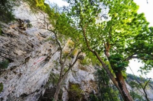 探秘广西“最神秘”溶洞,惊艳程度甩桂林芦笛岩几条街