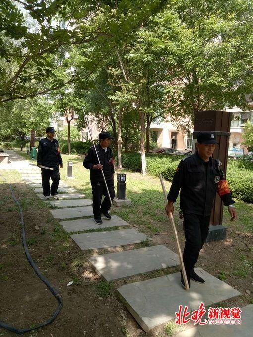 北京恶犬伤人事件最新进展:受伤男童仍在治疗