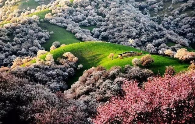 三月，去看中国最美春光